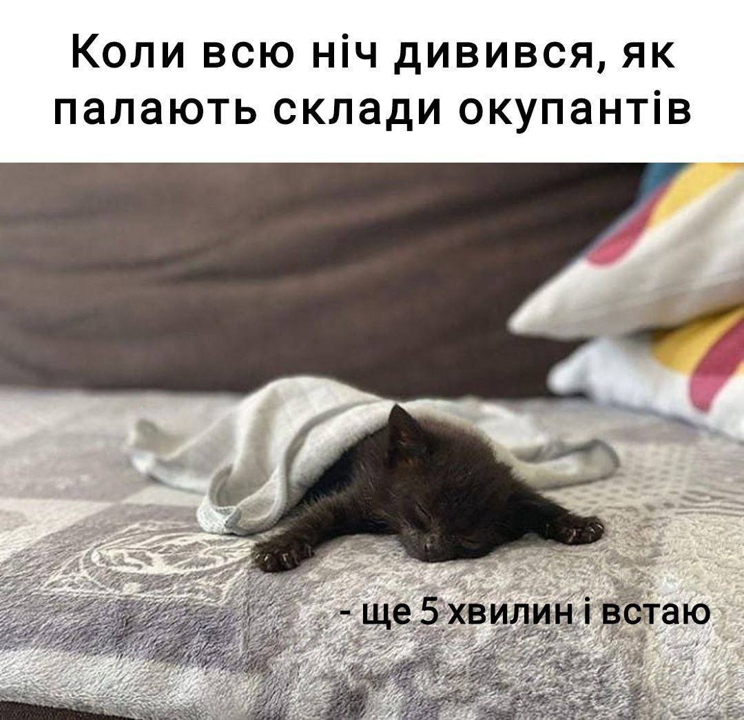 Новини Хмельницького - фото з Про хаймарси, Джонсона та непереможних ЗСУ: добірка мемів для підняття бойового настрою