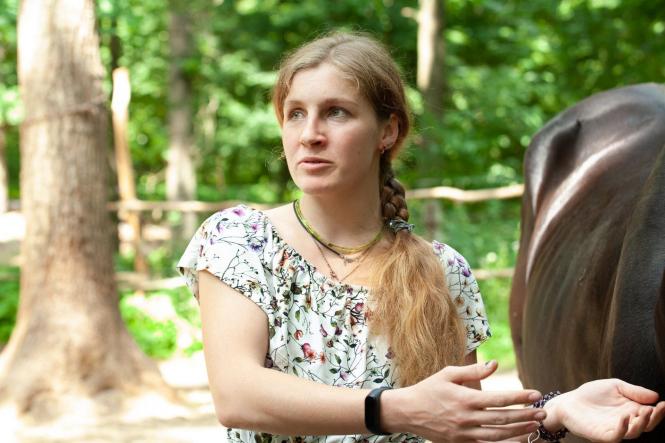 Новини Вінниці - фото з «Від обстрілу врятувалося лише шість тварин». Історія коней-переселенців з Київщини