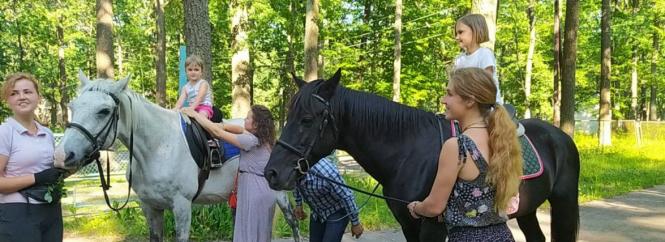 Новини Вінниці - фото з «Від обстрілу врятувалося лише шість тварин». Історія коней-переселенців з Київщини «Очі поки що сумні». Продовження історії з порятунку коней, евакуйованих з-під Києва
