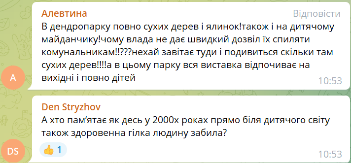 Новини Хмельницького - фото з На Гречанах на жінку впало дерево. Її забрали до лікарні (ФОТО)