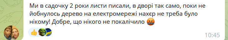 Новини Хмельницького - фото з На Гречанах на жінку впало дерево. Її забрали до лікарні (ФОТО)