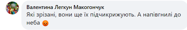 Новини Хмельницького - фото з На Гречанах на жінку впало дерево. Її забрали до лікарні (ФОТО)