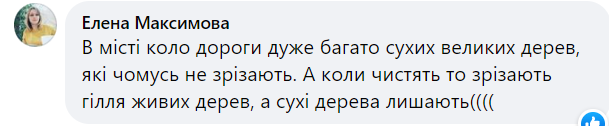 Новини Хмельницького - фото з На Гречанах на жінку впало дерево. Її забрали до лікарні (ФОТО)