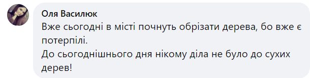 Новини Хмельницького - фото з На Гречанах на жінку впало дерево. Її забрали до лікарні (ФОТО)