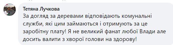 Новини Хмельницького - фото з На Гречанах на жінку впало дерево. Її забрали до лікарні (ФОТО)