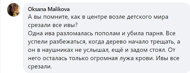 Новини Хмельницького - фото з На Гречанах на жінку впало дерево. Її забрали до лікарні (ФОТО)
