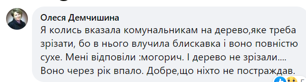 Новини Хмельницького - фото з На Гречанах на жінку впало дерево. Її забрали до лікарні (ФОТО)