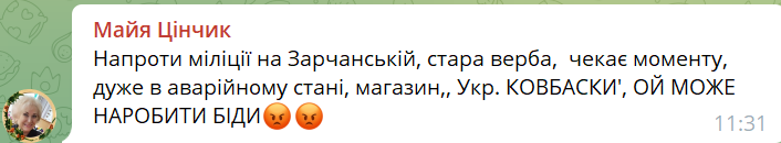 Новини Хмельницького - фото з На Гречанах на жінку впало дерево. Її забрали до лікарні (ФОТО)
