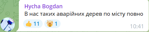 Новини Хмельницького - фото з На Гречанах на жінку впало дерево. Її забрали до лікарні (ФОТО)