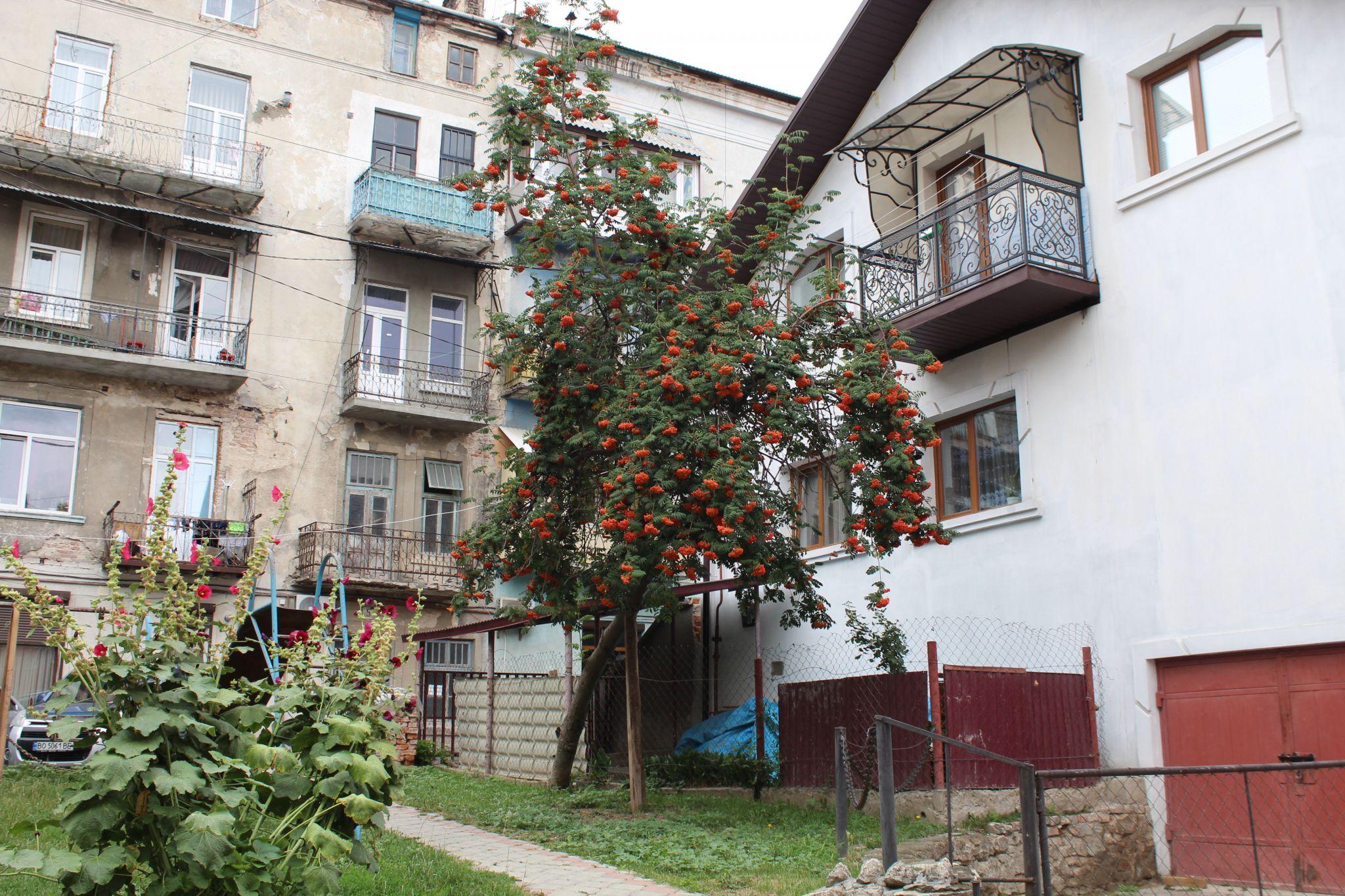 Новини Тернополя - фото з Панує львівська атмосфера. Що відвідати у Чорткові до 500-річчя: підбірка «20 хвилин» (ФОТОРЕПОРТАЖ)