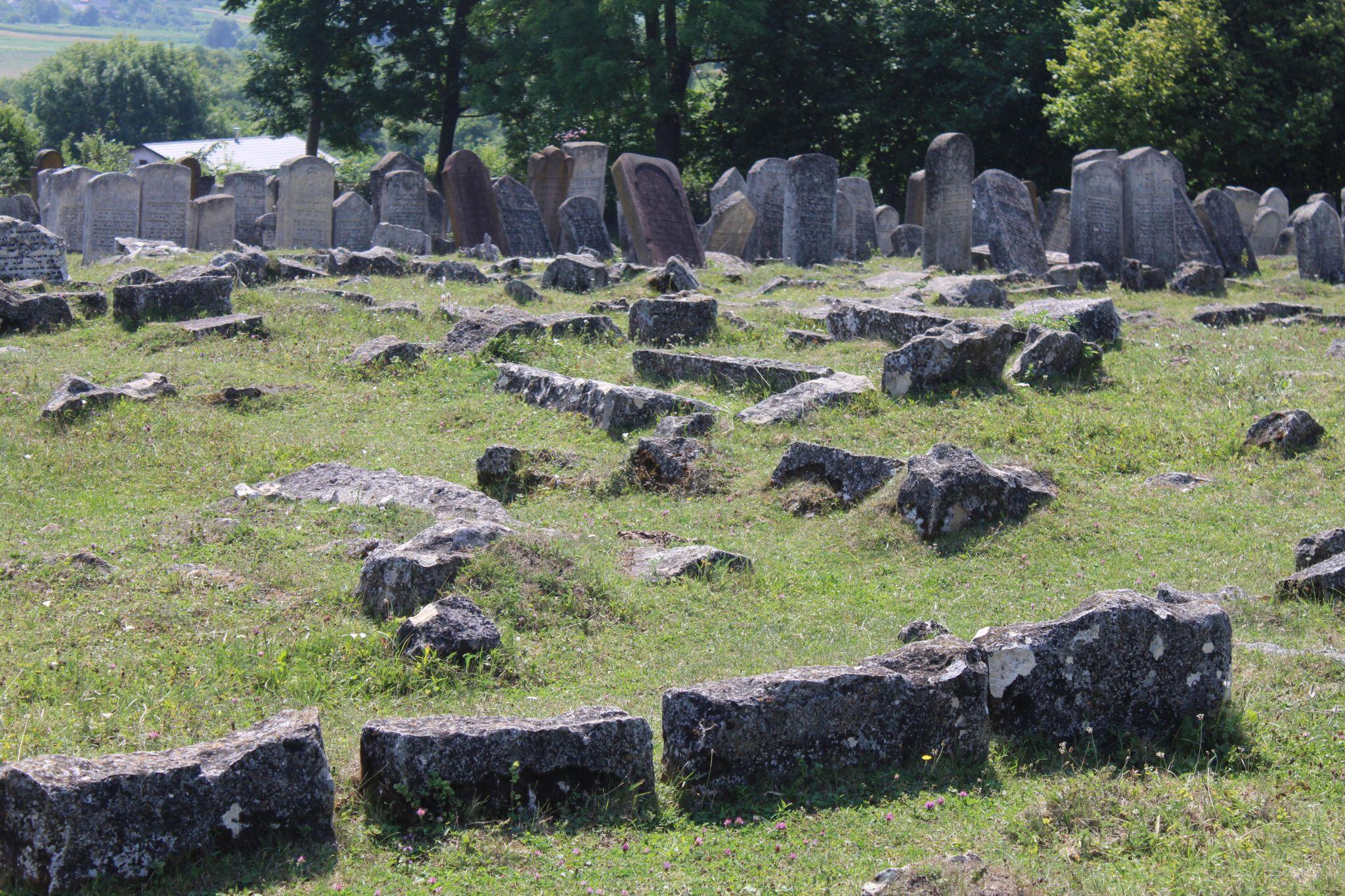 Новини Тернополя - фото з В Україні немає аналогів! Як виглядає одне з найбільших єврейських кладовищ на Тернопільщині? (ФОТОРЕПОРТАЖ)