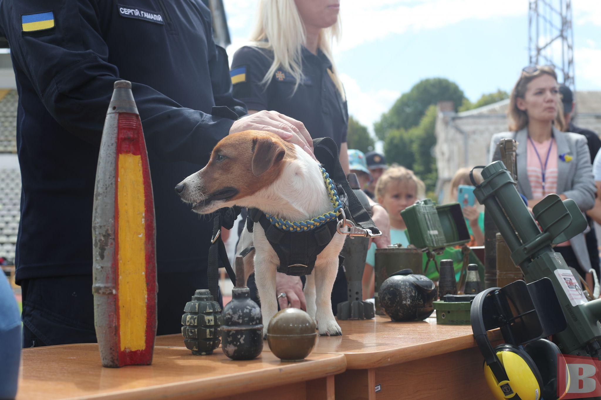 Новини Хмельницького - фото з Патрон приїхав у Хмельницький: деталі візиту відомого українського пса