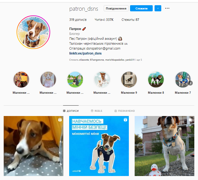 Новини Хмельницького - фото з Патрон приїхав у Хмельницький: деталі візиту відомого українського пса