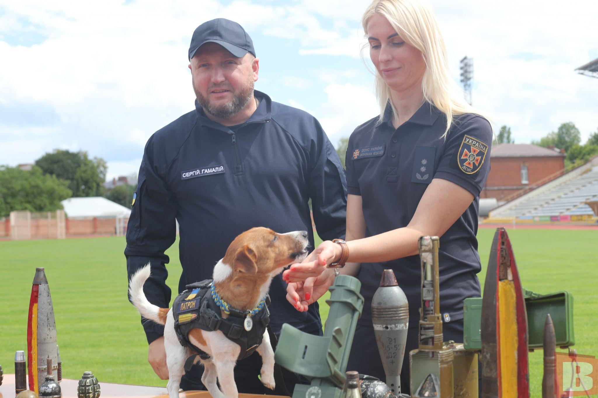 Новини Хмельницького - фото з Патрон приїхав у Хмельницький: деталі візиту відомого українського пса