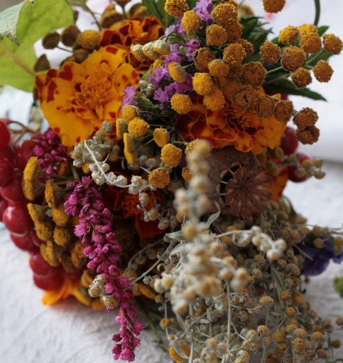 Новини Житомира - фото з 14 серпня - Маковія, або Медовий Спас: традиції свята