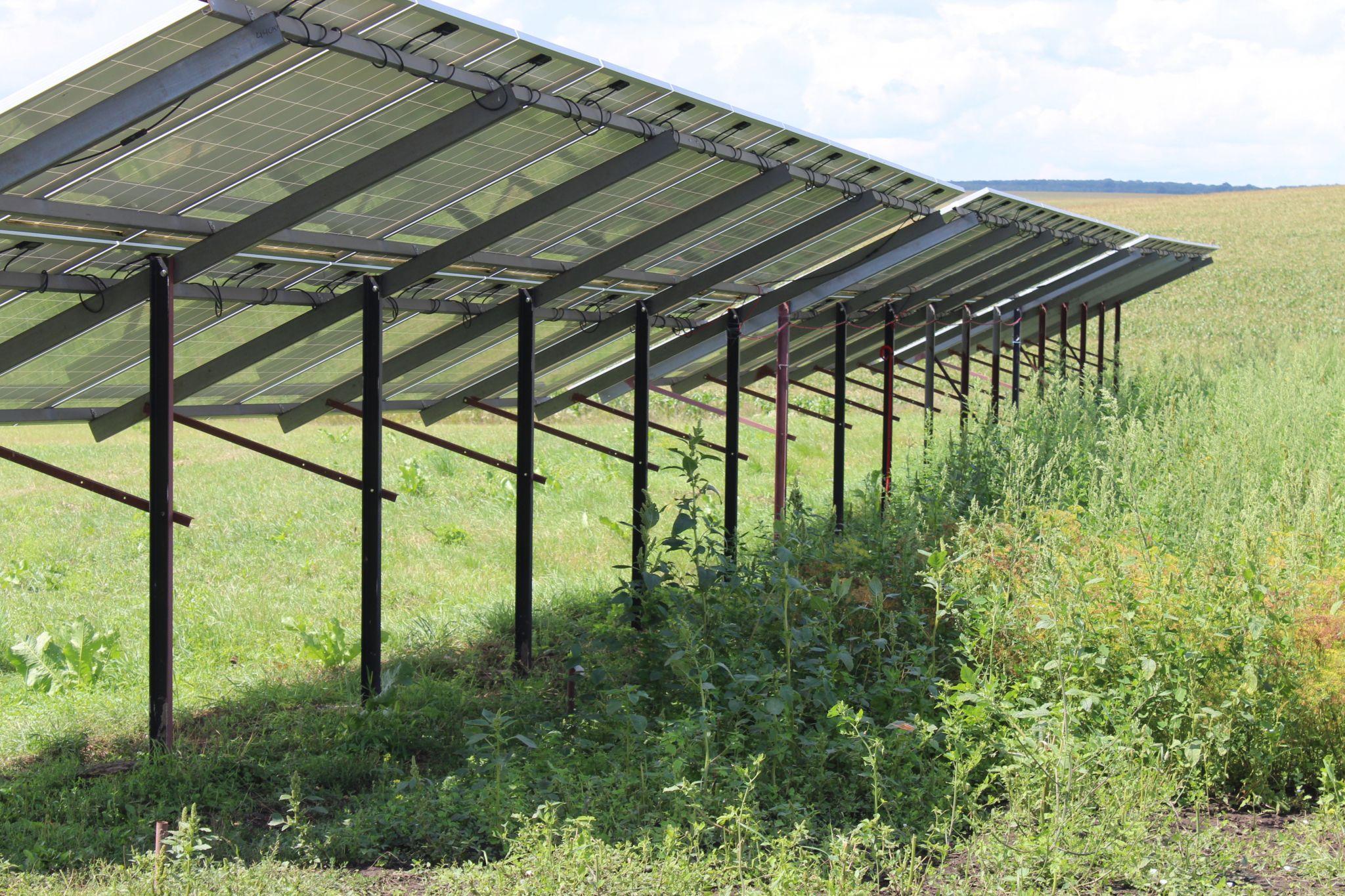 Новини Тернополя - фото з Людей сюди привозили помирати. Але вони вижили: репортаж із реабілітаційного центру (ЕКСКЛЮЗИВ)