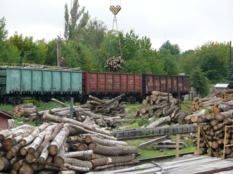 Новини Вінниці - фото з «Куплю дрова недорого». За скільки на Вінниччині продають кубометр?