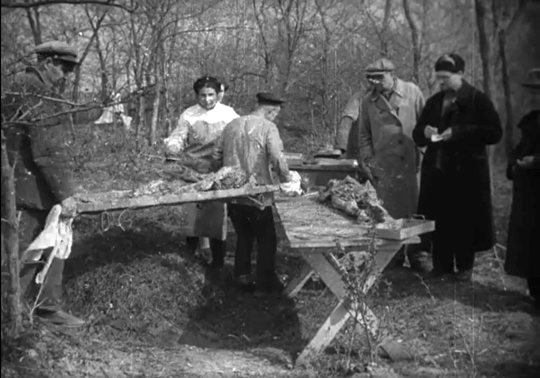 Новини Вінниці - фото з Окупація Вінниці 81 рік тому. Про злочини, заподіяні фашистами, розповідають науковці