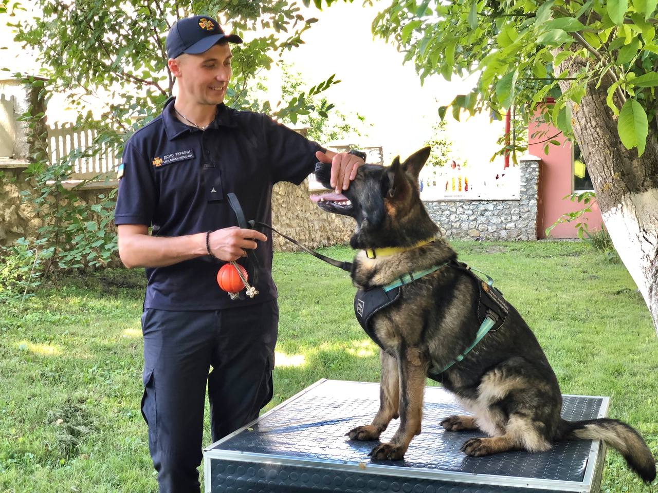 Новини Тернополя - фото з Єдина в Україні: як тернопільська собака Фіона рятує людей з-під завалів