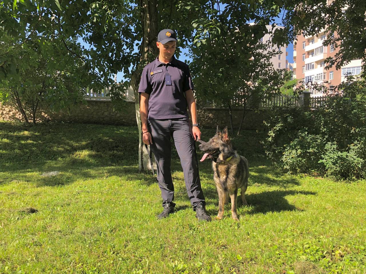 Новини Тернополя - фото з Єдина в Україні: як тернопільська собака Фіона рятує людей з-під завалів