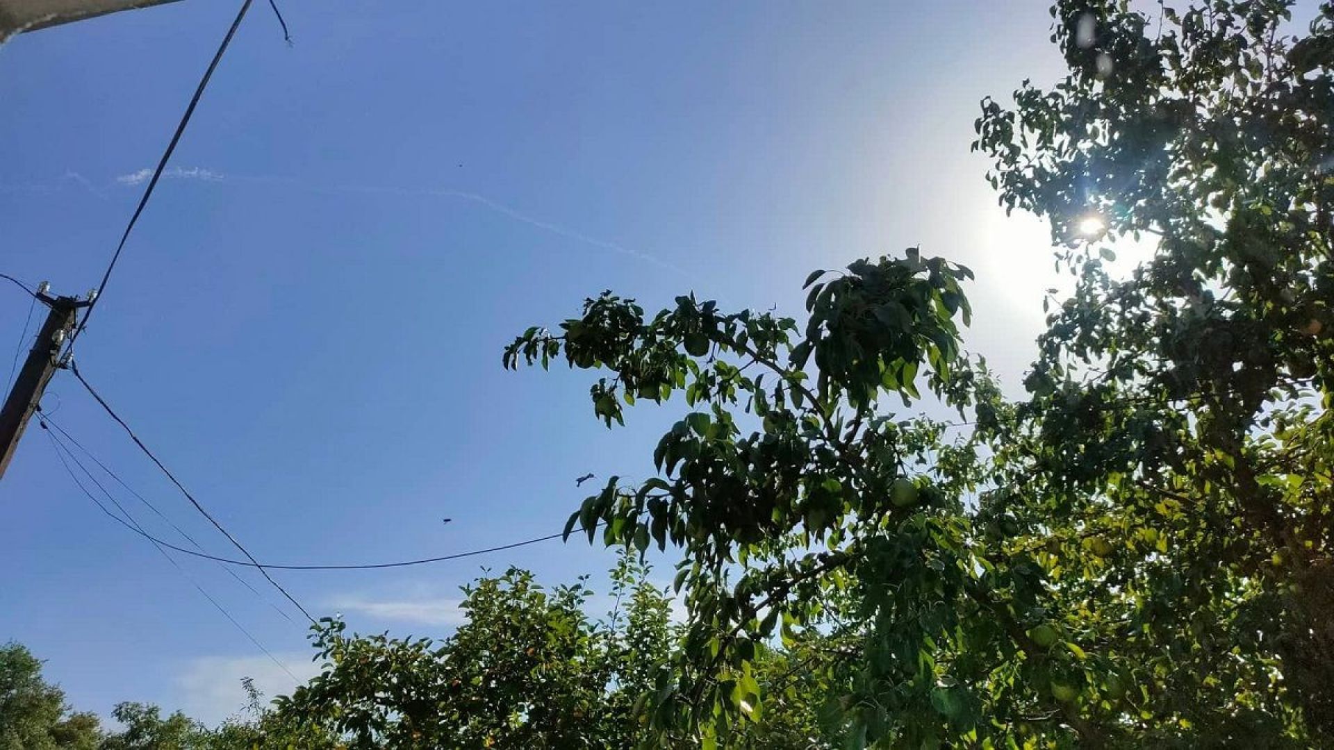 Новини Козятина - фото з Тривоги та вибухи: на Вінниччині спрацювала ППО