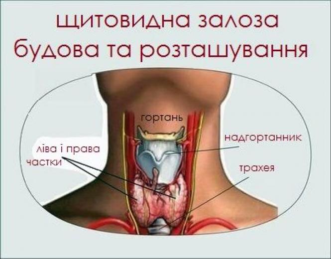 Новини Вінниці - фото з Йод від радіації не рятує! То навіщо його приймати при ядерній загрозі? Все про дозування і наслідки