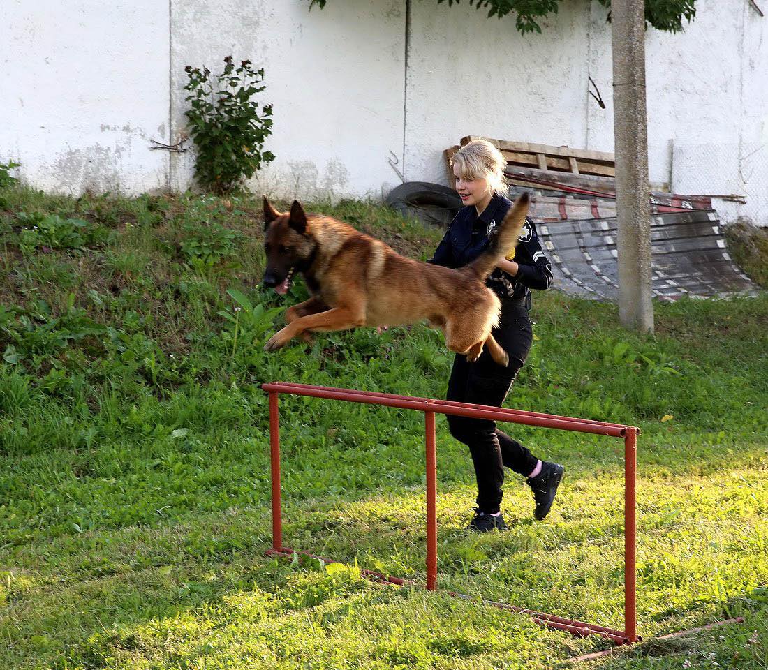 Новини Хмельницького - фото з «Мрію, що колись поверну своїх собак», - кінологиня з Маріуполя почала нове життя в Хмельницькому