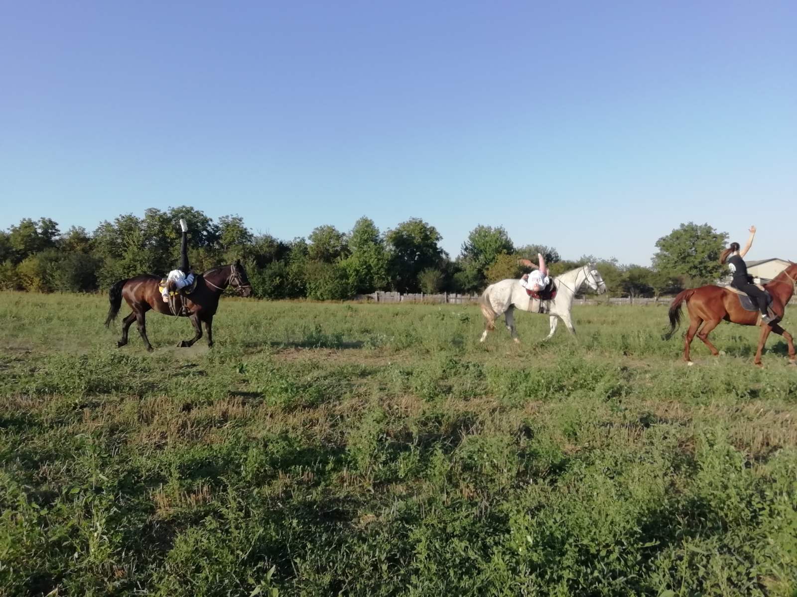 Новини Тернополя - фото з На Борщівщині виступали вихованці та тренери евакуйованого з Луганська кінноспортивного клубу «Кінний дім» (ФОТО)
