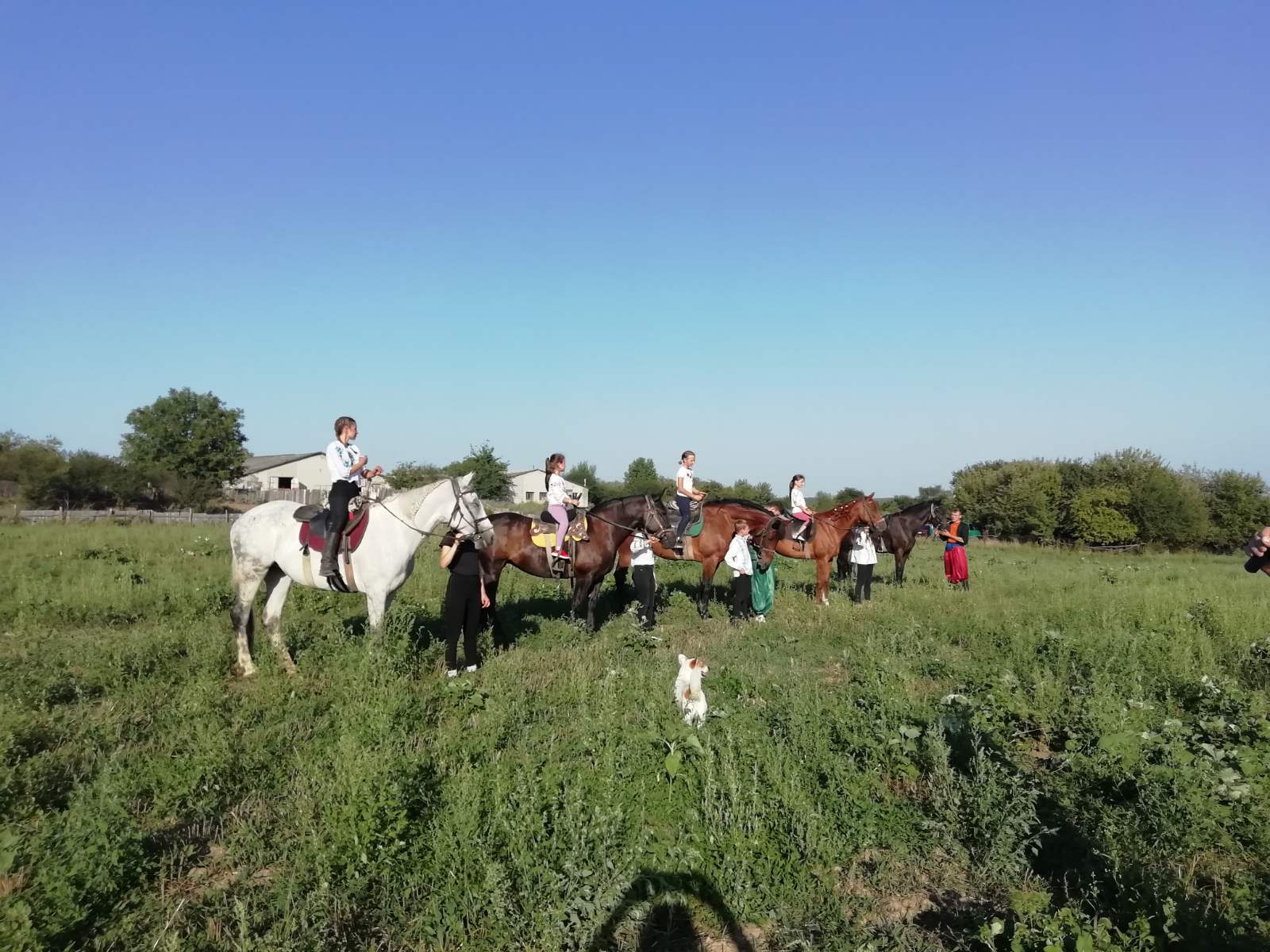 Новини Тернополя - фото з На Борщівщині виступали вихованці та тренери евакуйованого з Луганська кінноспортивного клубу «Кінний дім» (ФОТО)