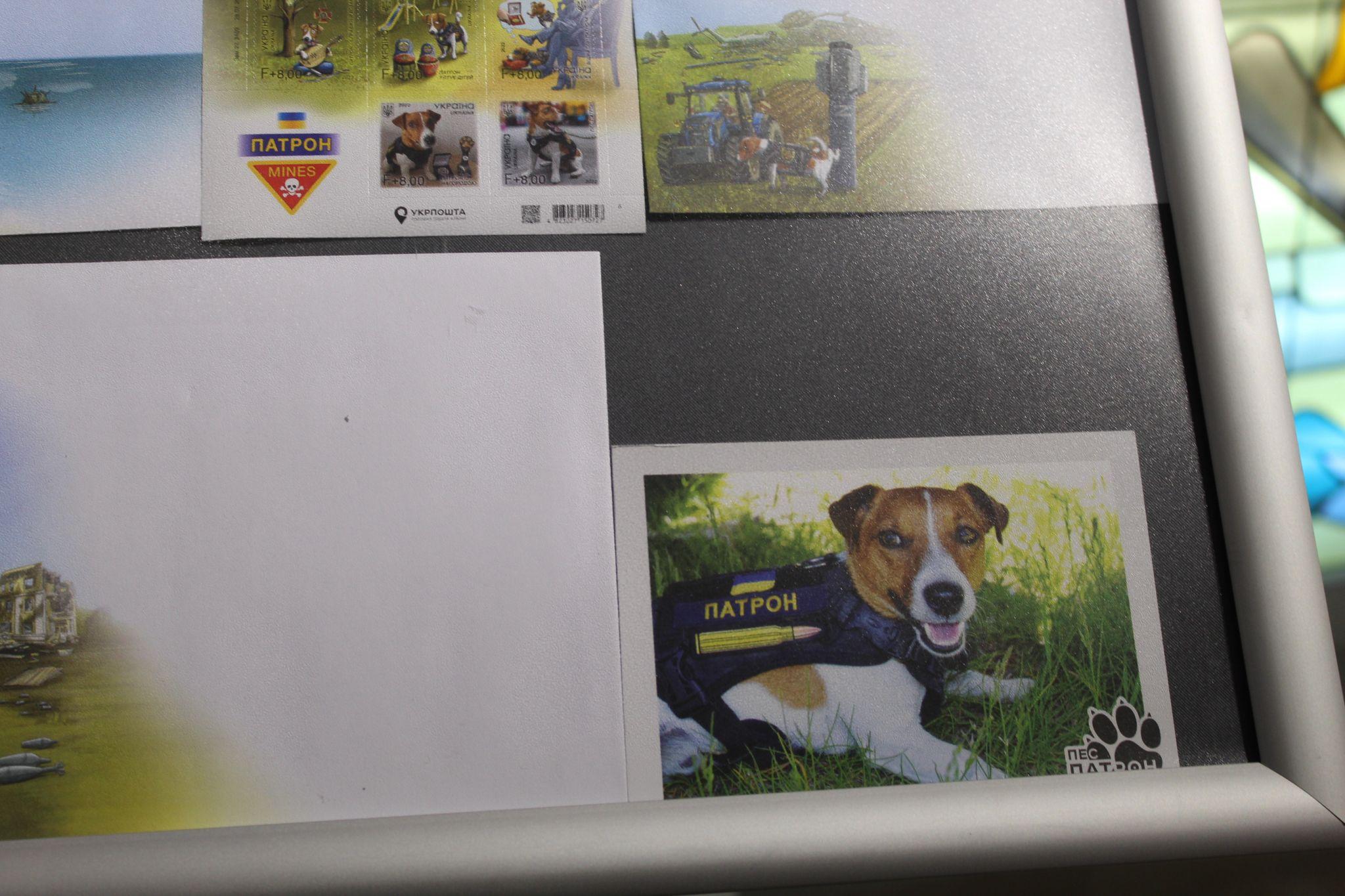 Новини Тернополя - фото з У Тернополі погасили марку, присвячену псу Патрону. Скільки коштує та як придбати? (РЕПОРТАЖ)