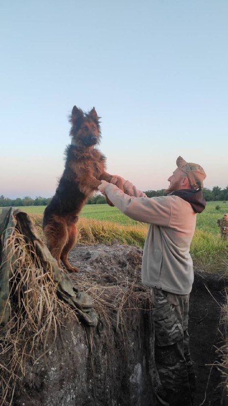 Новини Тернополя - фото з Бачить ворога за 60 км, а сам залишається непомітним