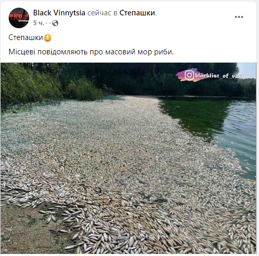 Новини Вінниці - фото з У Степашках масовий мор риби? Звернулися за поясненнями до екологів та рибоохорони