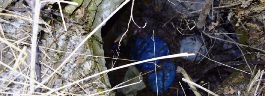 Новини Вінниці - фото з Моторошне вбивство вінничанки: судили 23-річного хлопця, який розчленував жінку Розчленував тіло та склав у пакети. У Вінницькому районі вбили пенсіонерку