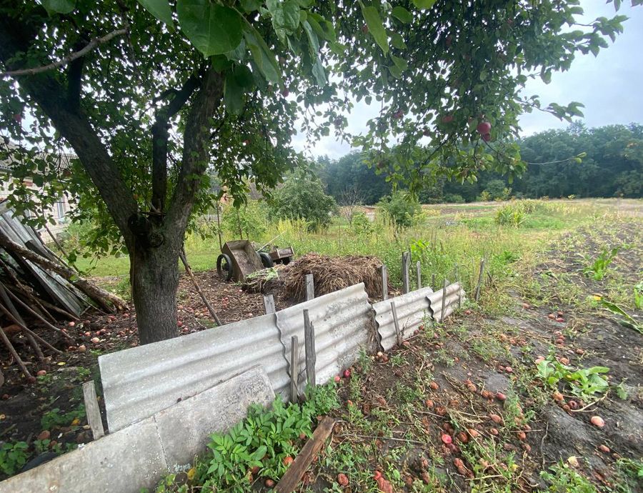 Новини Житомира - фото з Мешканець Андрушівки застрелив сусідське щеня за голосний гавкіт