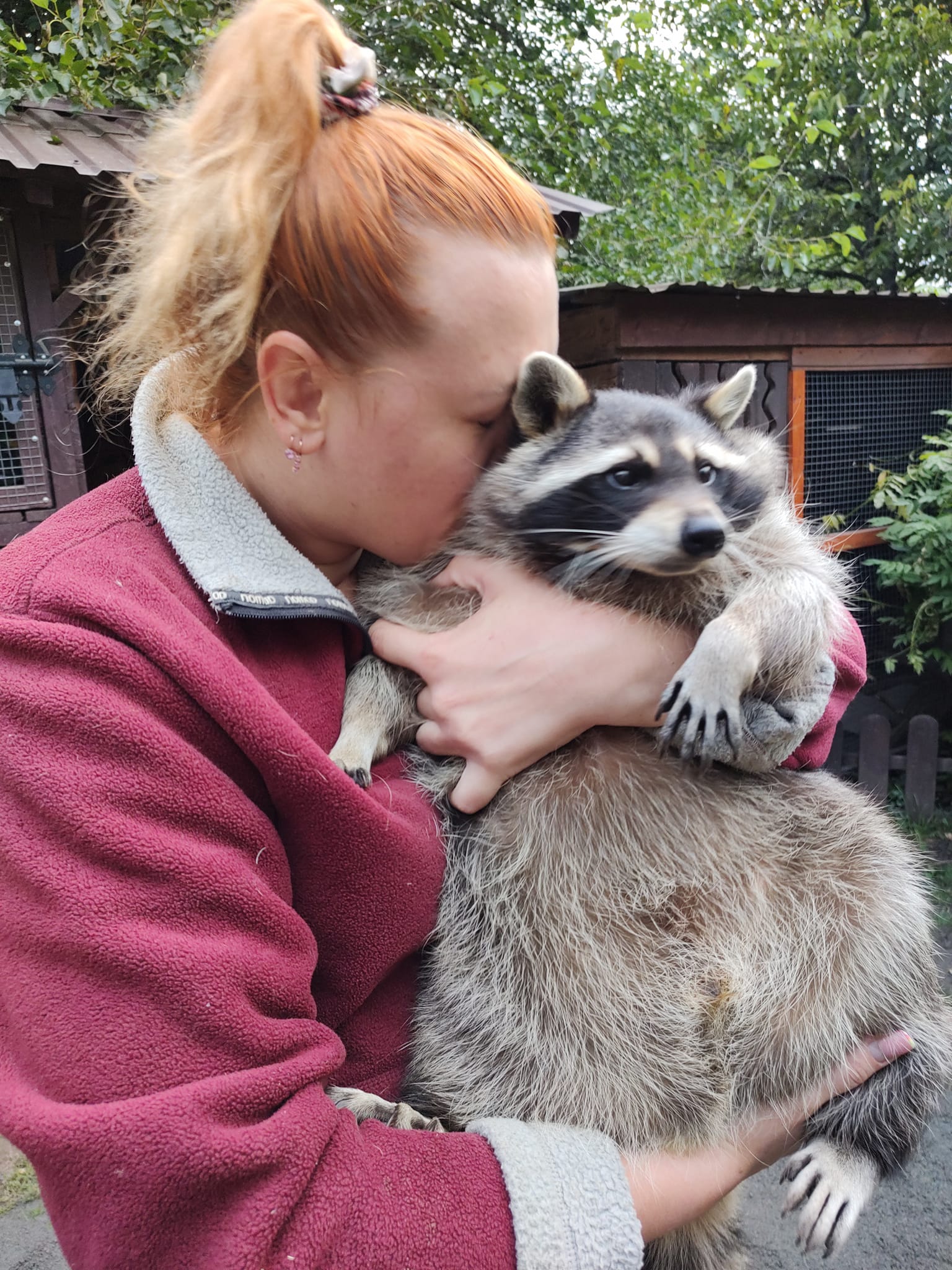 Новини Вінниці - фото з «Лелека без крила, ворон з половиною дзьоба, єнот без ока…». Родина врятувала понад сто тварин і птахів