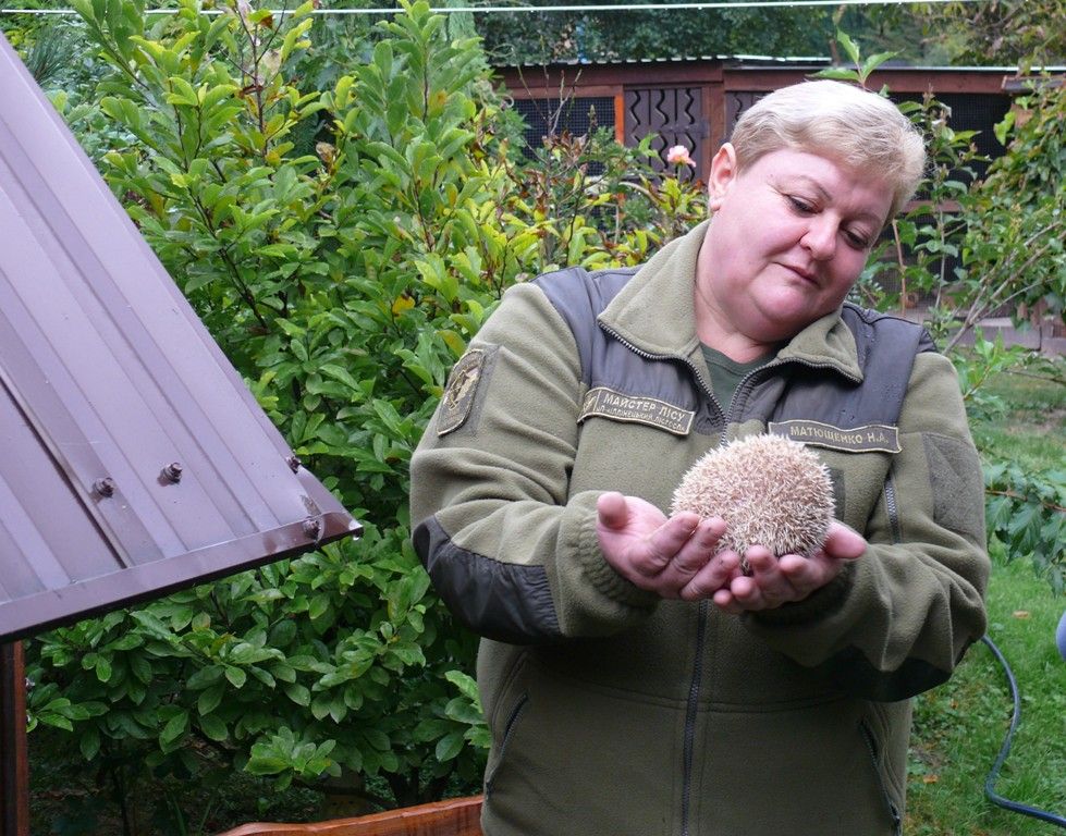 Новини Вінниці - фото з «Лелека без крила, ворон з половиною дзьоба, єнот без ока…». Родина врятувала понад сто тварин і птахів