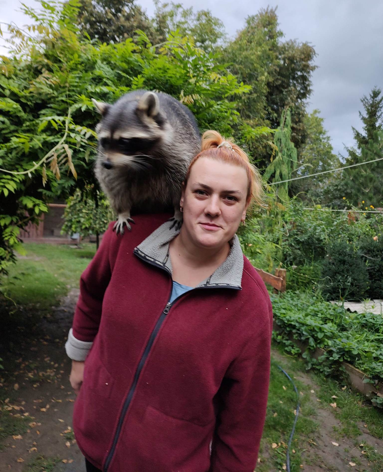 Новини Вінниці - фото з «Лелека без крила, ворон з половиною дзьоба, єнот без ока…». Родина врятувала понад сто тварин і птахів