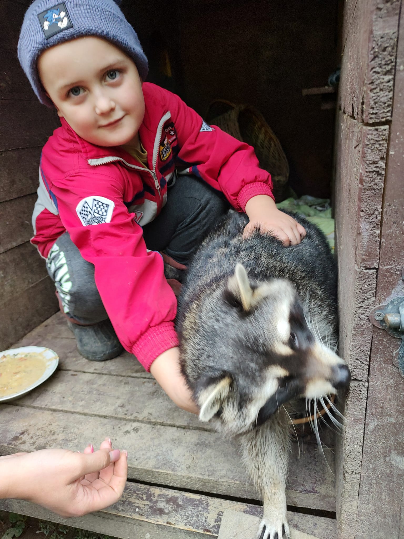Новини Вінниці - фото з «Лелека без крила, ворон з половиною дзьоба, єнот без ока…». Родина врятувала понад сто тварин і птахів
