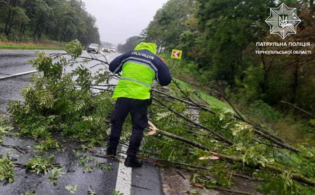 Новини Тернополя - фото з Підтопило підвали і повалило дерева: у Тернополі та області ліквідовують наслідки негоди