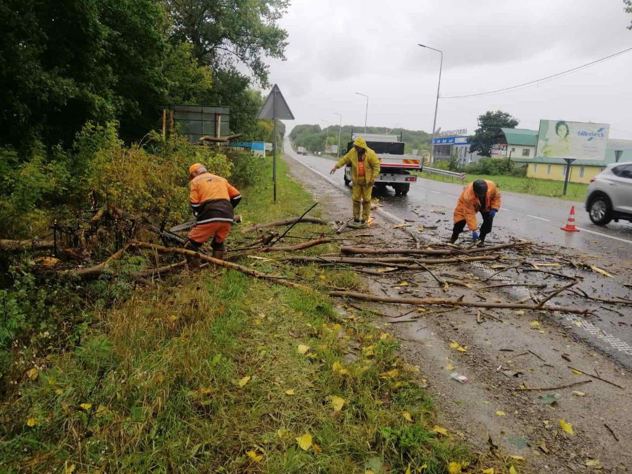 Новини Тернополя - фото з Підтопило підвали і повалило дерева: у Тернополі та області ліквідовують наслідки негоди
