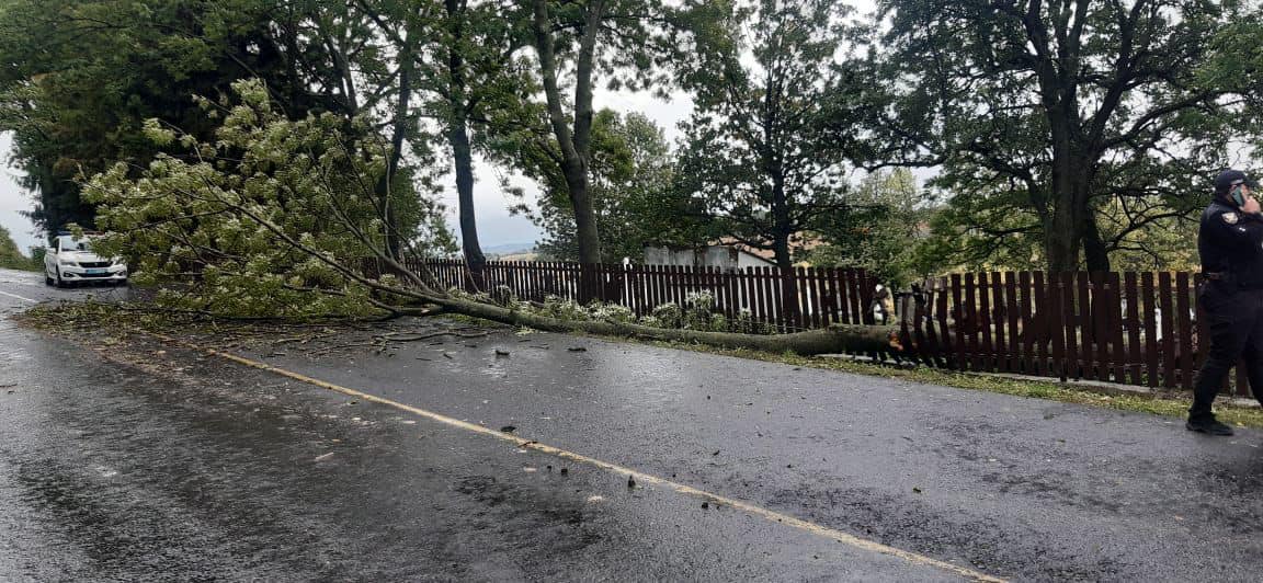 Новини Тернополя - фото з Підтопило підвали і повалило дерева: у Тернополі та області ліквідовують наслідки негоди