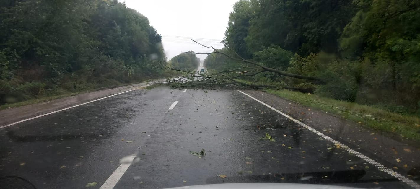 Новини Тернополя - фото з Підтопило підвали і повалило дерева: у Тернополі та області ліквідовують наслідки негоди