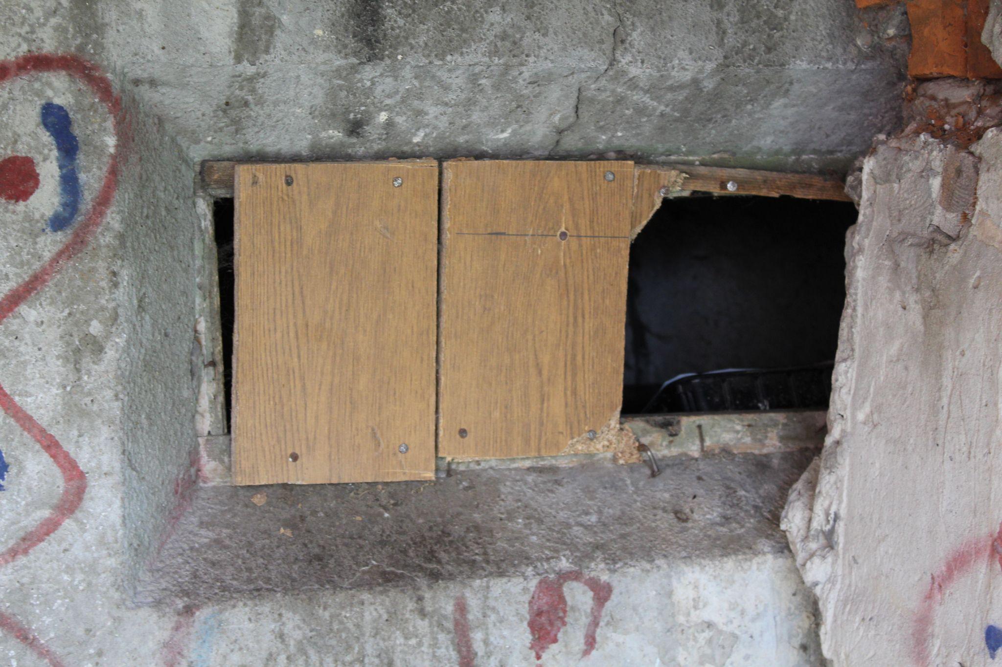 Новини Тернополя - фото з Куди подіти котів, які окупували підвали? Мешканці шукають вихід, а влада розводить руками