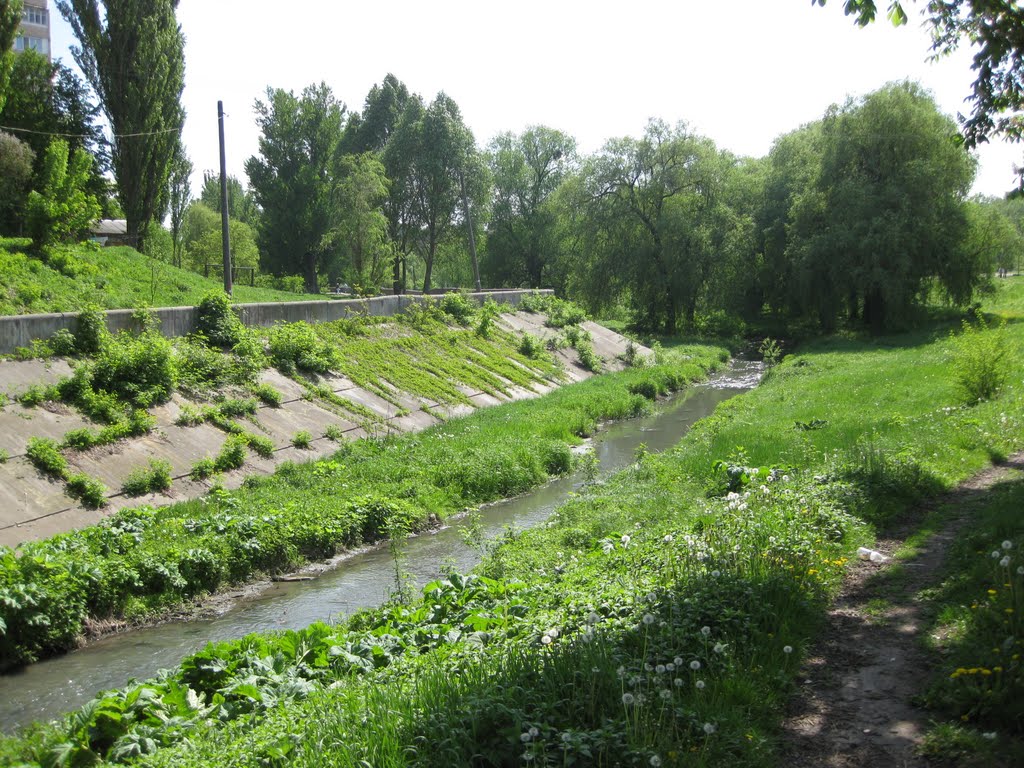 Новини Вінниці - фото з Екологи перевірили річку Тяжилівку та Вишенське озеро. Маємо результати досліджень водойм