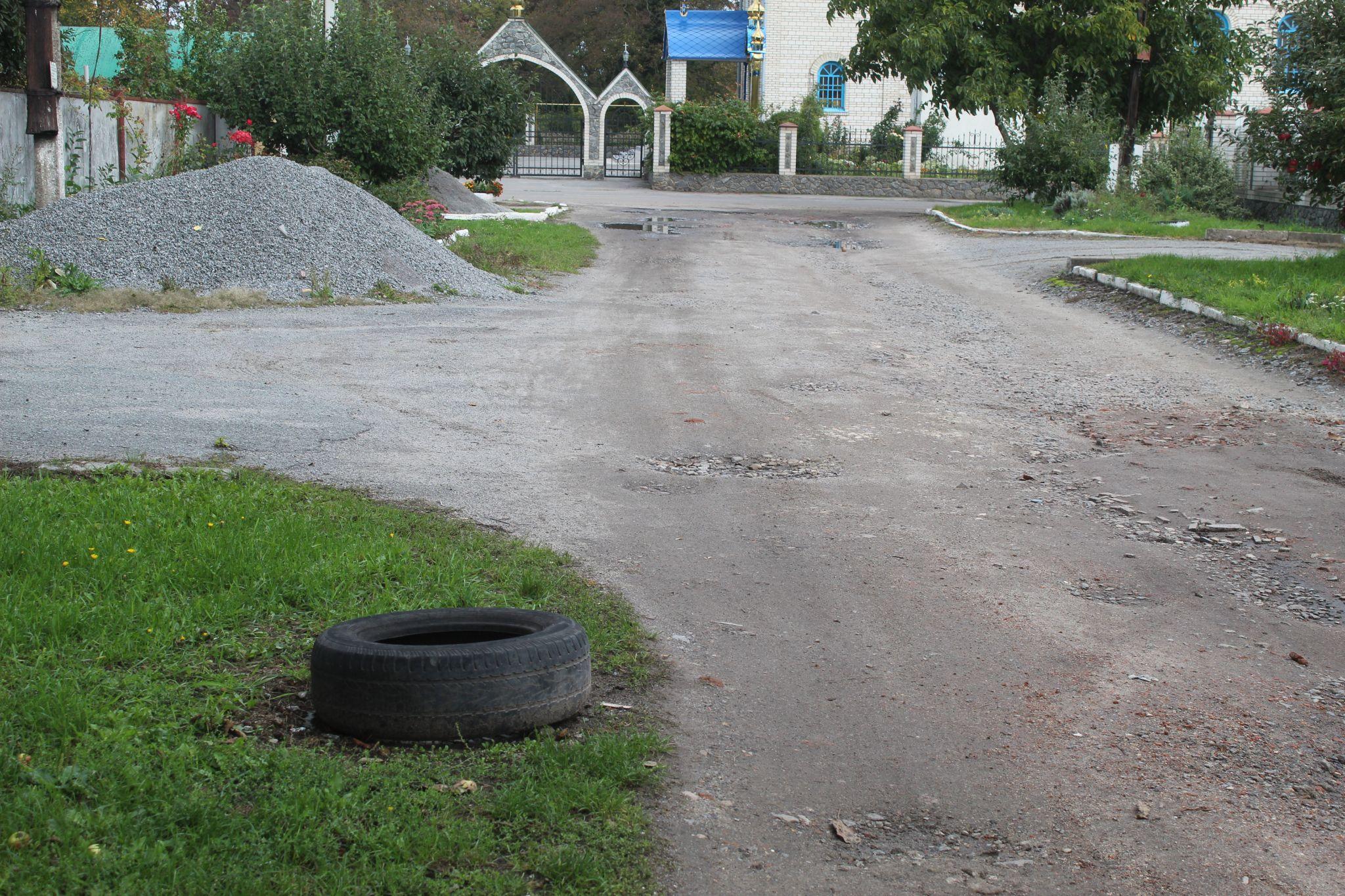 Новини Козятина - фото з В Козятині найродючіша земля.Тут навіть кришка підземної комунікації дала врожай