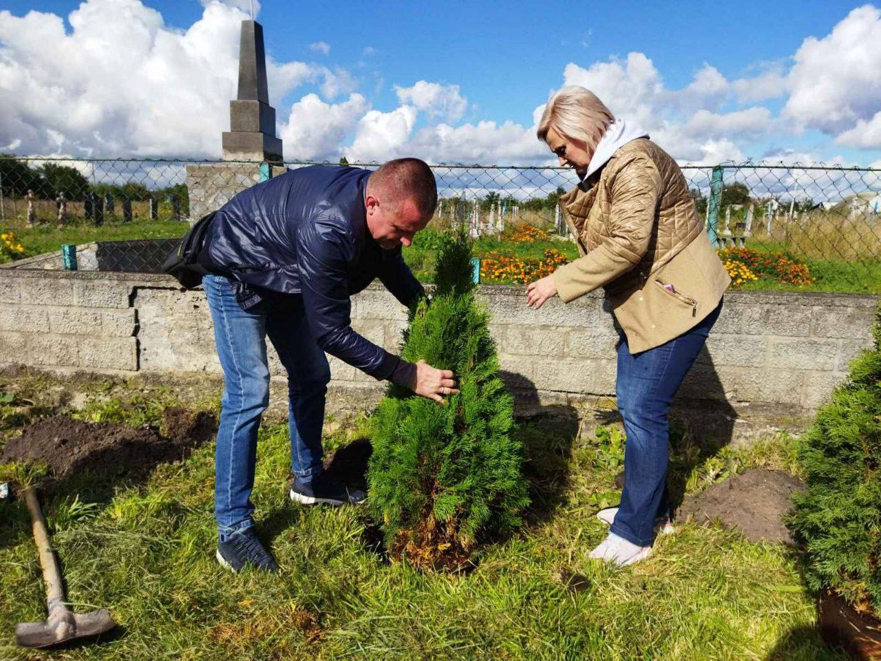 Новини Житомира - фото з У Мирополі висадили алею з туй як перший етап облаштування символічного скверу