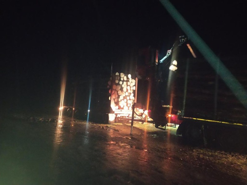 у білокоровицькій громаді поліцейські зафіксували перевезення необлікованого дуба