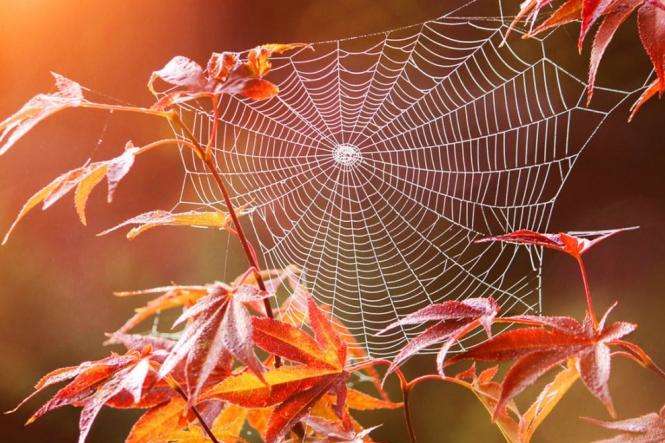 Новини Хмельницького - фото з Від 5 жовтня на Хмельниччині різко зміниться погода