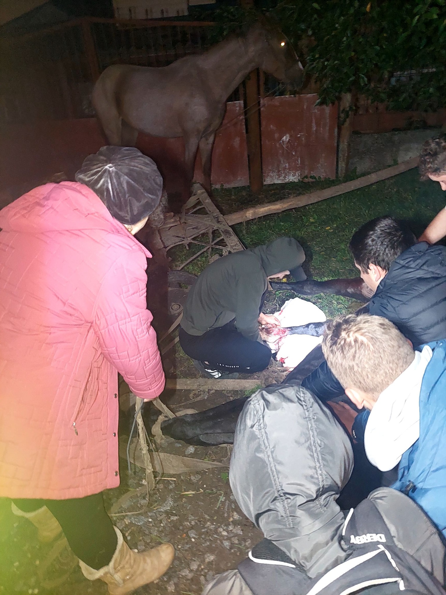 Возможно, это изображение 3 человека и люди стоят