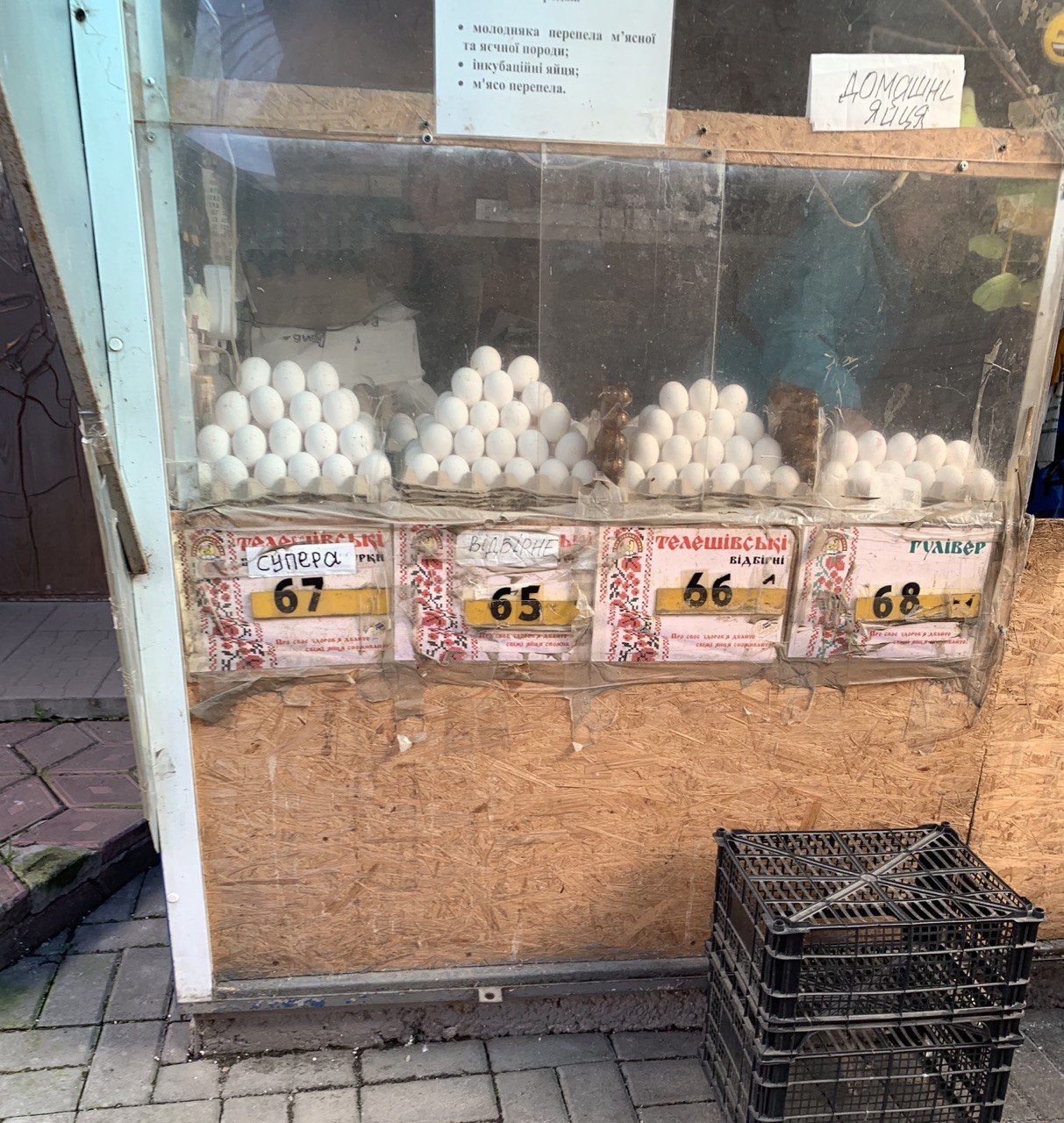 Новини Вінниці - фото з Ціни на яйця зростають. Скільки коштують зараз, чому та що буде з вартістю далі?